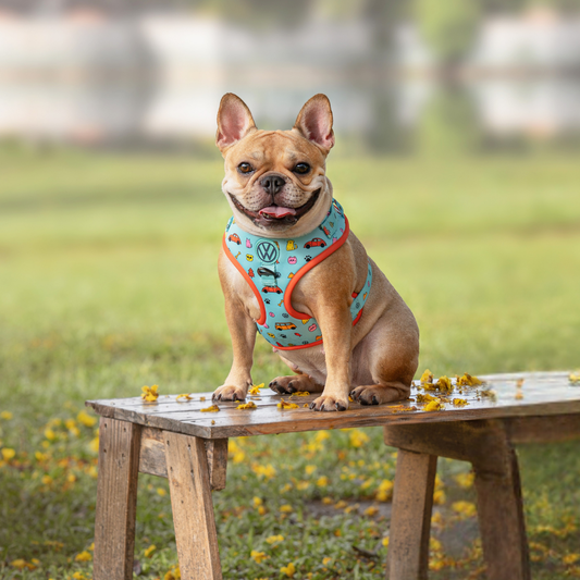 Volkswagen Pet Harness