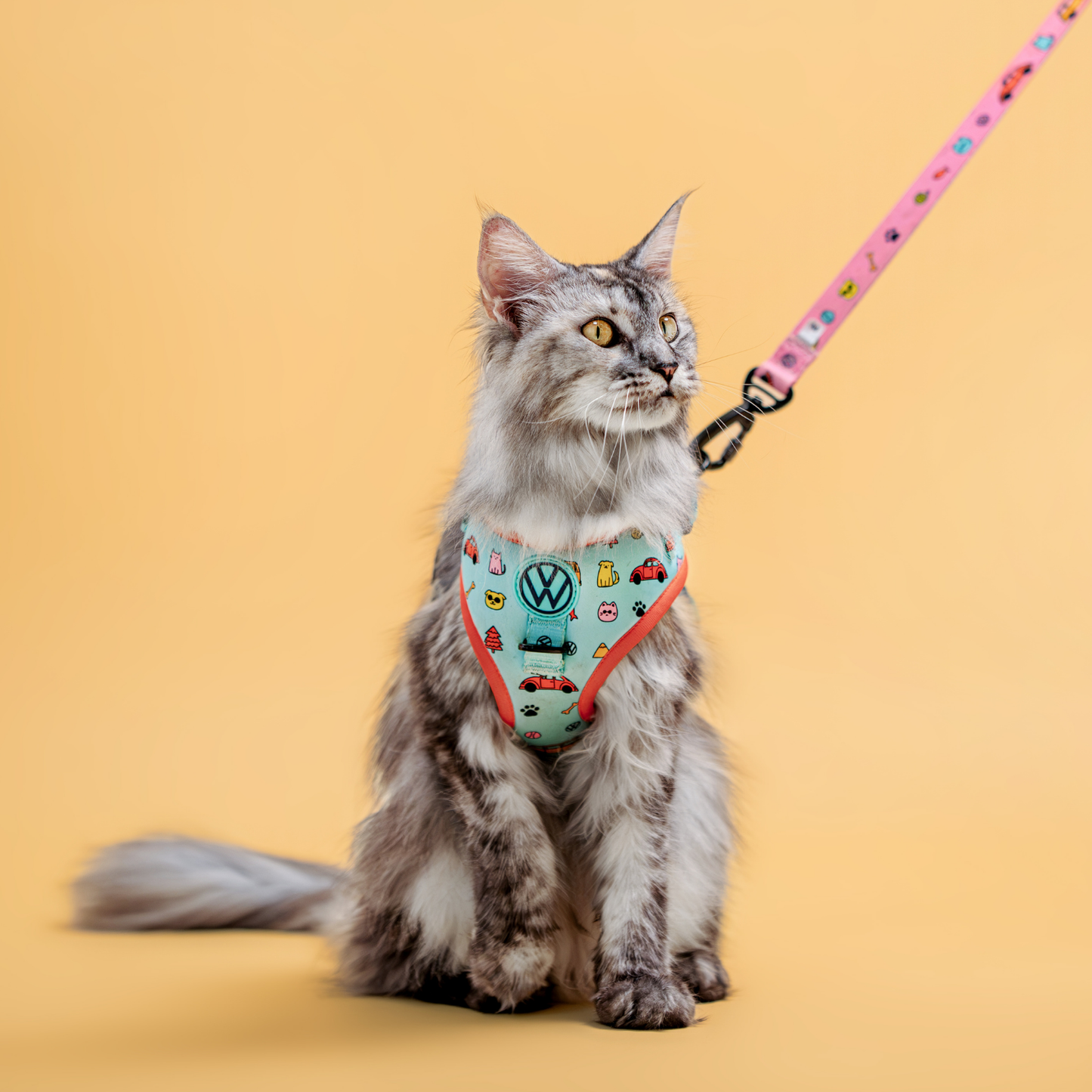 Volkswagen Pet Leash