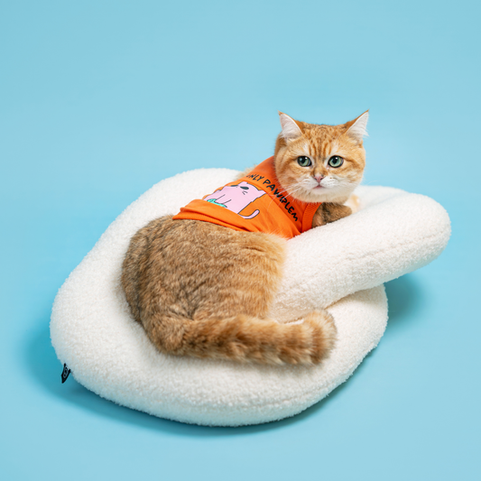 Volkswagen Pet Singlet (Cat Design)