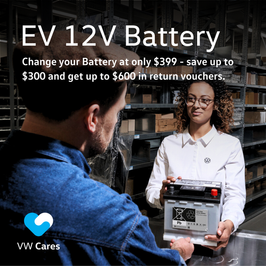 EV 12V Battery Replacement Package