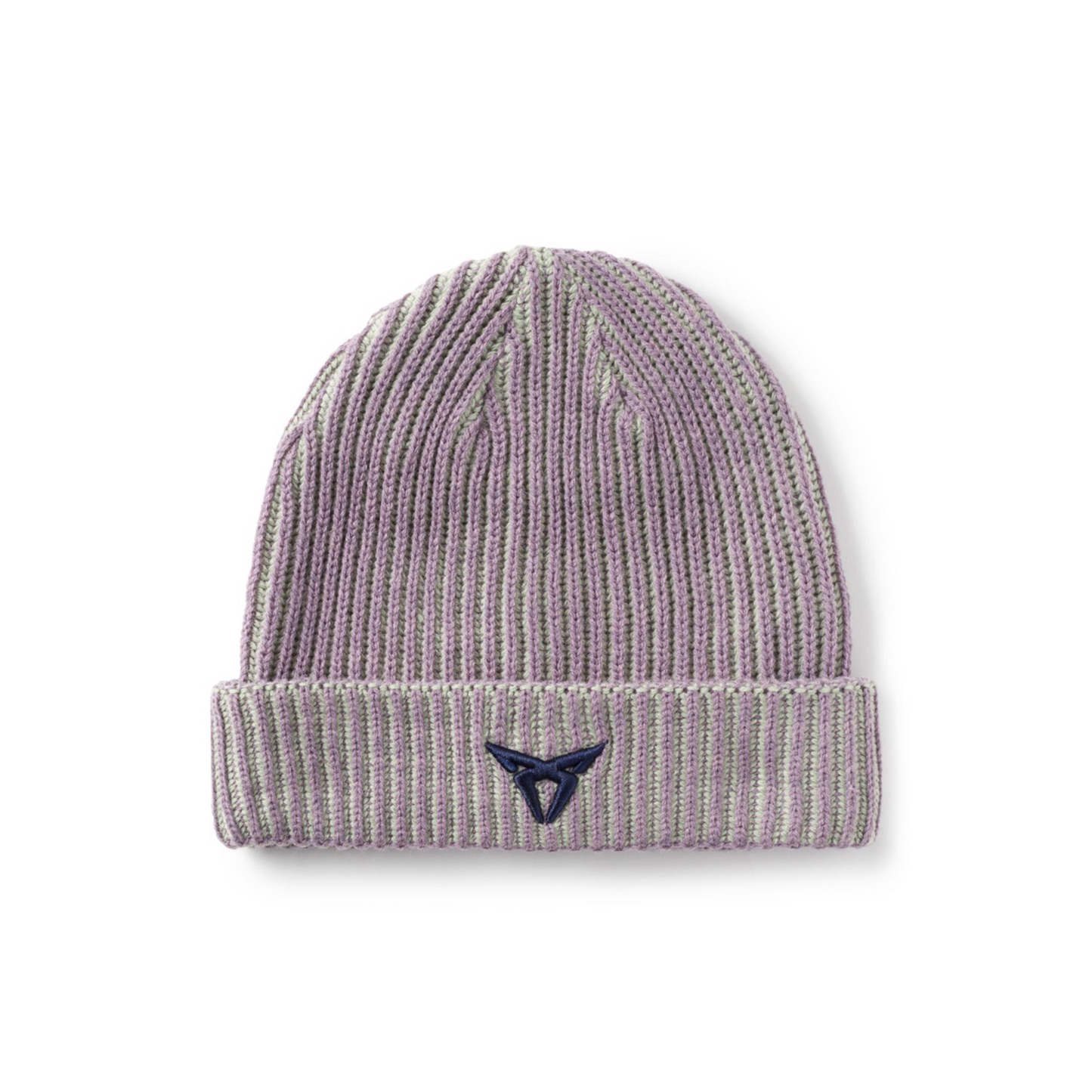 [Pre-Order] CUPRA Iridescent Beanie