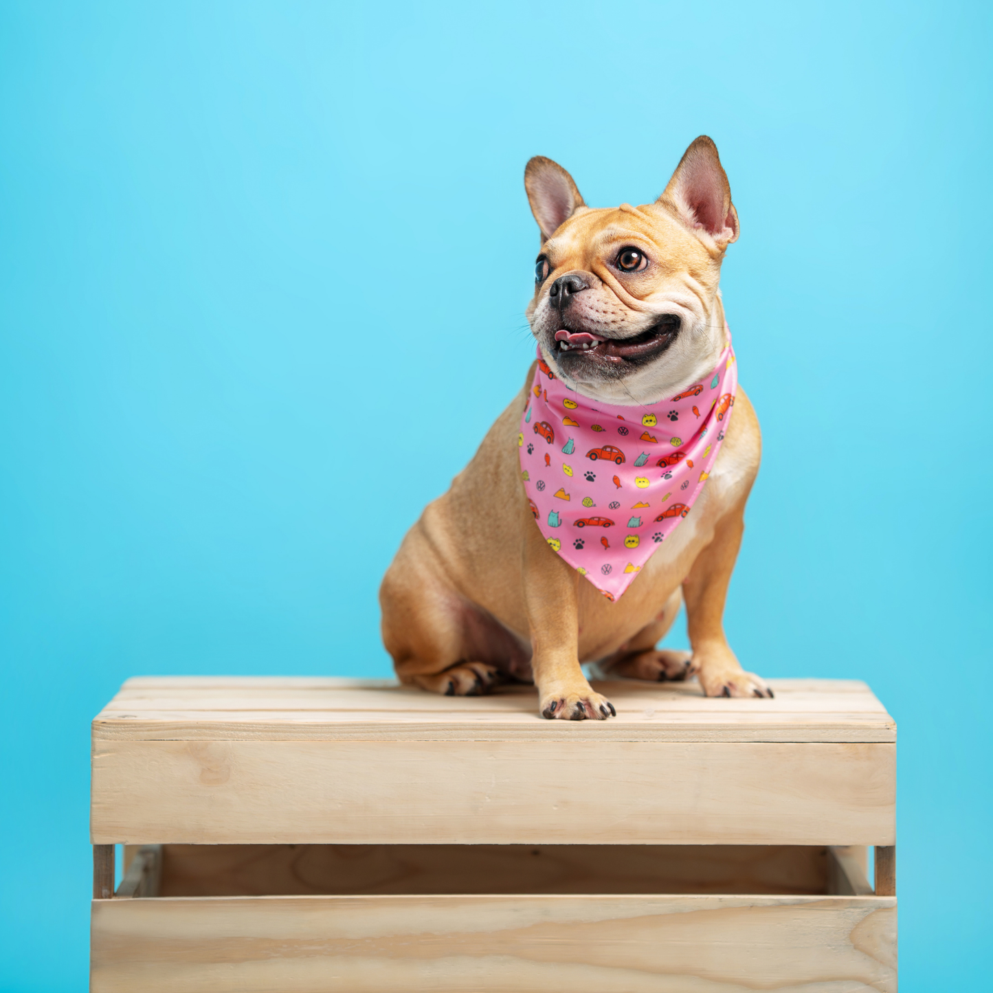 Volkswagen Pet Bib
